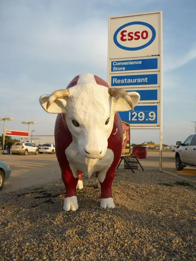 Bull statue at the Esso station